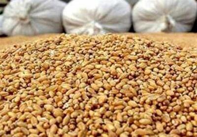  پیشنهاد عضو کمیسیون کشاورزی درباره تامین نهادهای دامی - تسنیم