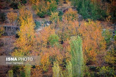  پاییزِ هزاررنگ در روستای شیت طارم