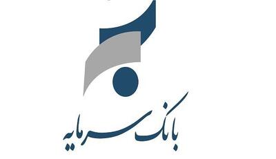  «سرمایه» زیر ذره‌بین بانک مرکزی رفت