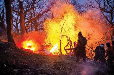  روایت امدادگران از عملیات سخت و نفسگیر امدادرسانی و اطفای حریق جنگل های الیت (فیلم)
