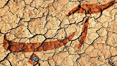  علت اصلی ناترازی آب دخالت نهادهای غیرتخصصی در تصمیم‌گیری‌های حیاتی این صنعت است