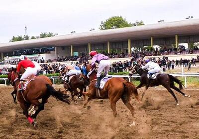  اسب ترکمن، ظرفیت بزرگ گلستان برای توسعه منطقه‌ای و جهانی
