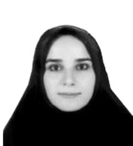  تئوری تاب‌آوری در توسعه کلان‌شهرها