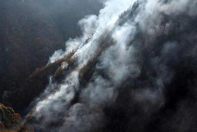  آتش‌سوزی جنگل‌های الیت کامل مهار شد