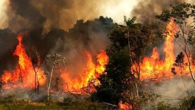  رئیس سازمان مدیریت بحران درباره عملیات اطفای آتش در جنگل الیت: با ایجاد معبر معبر ضد آتش، از سرایت آتش سوزی به منطقه مرزن‌آباد جلوگیری شد