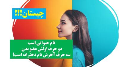  چیستان: نام حیوانی است که دو حرف اولش عضو بدن و سه حرف آخرش نام دخترانه است!