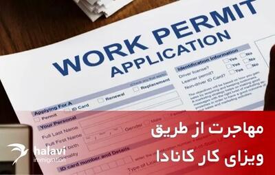  همه چیز درباره مهاجرت با ویزای کار کانادا؛ راهی مطمئن برای شروع یک زندگی جدید