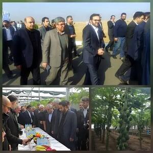  بازدید مدیرعامل بانک کشاورزی و وزیر اقتصاد از پروژه راهبردی «گوزل طبیعت ارس»/ تأکید بر تقویت سرمایه‌گذاری و توسعه اقتصاد صادرات‌محور