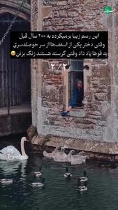  رسمی جالب در ولز؛ قوهایی که زنگ می‌زنند تا غذا بگیرند + فیلم