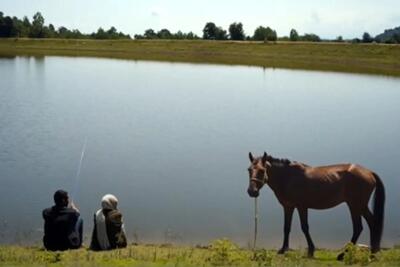  در سینمایی که مملو از نامردی، نارو زدن و تجاوز و خشونت است، رفاقت موضوعی متفاوت است/ «عاشق پاییز» خیلی شبیه فیلمسازش است