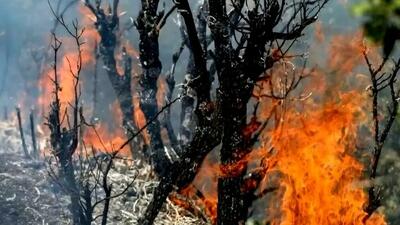  پیچیدگی مهار آتش در «الیـت»