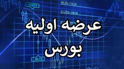 عرضه اولیه «کوچین» کشف قیمت شد