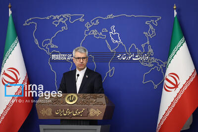  بقائی: محتوای قطعنامه ضدایرانی شورای حکام، لکه ننگی بر دامن طراحان و بانیان آن است