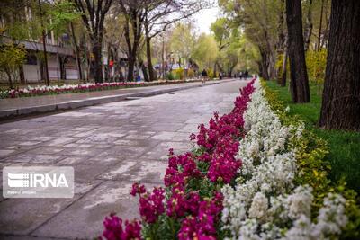  آلودگی صوتی، گذر فرهنگی «چهارباغ» اصفهان را تهدید می‌کند