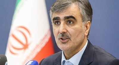  فرزین: بانک‌ها یا از بنگاه‌داری خارج شوند | جهان نیوز