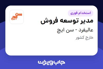  استخدام مدیر توسعه فروش - آقا در عالیفرد - سن ایچ