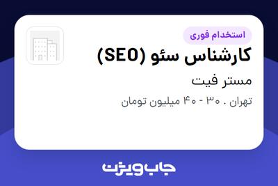  استخدام کارشناس سئو (SEO) در مستر فیت