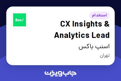  استخدام CX Insights   Analytics Lead در اسنپ باکس