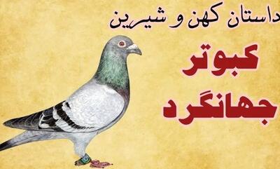  داستان کبوترِ جهانگرد از کلیله و دمنه/ سفری برای فهمیدن اینکه آرامش همان‌جاست که دوست هست
