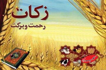  زکات راهی برای نجات جامعه از فقر و تبعیض - کلبه سرگرمی