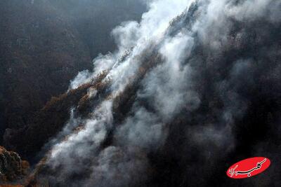  ببینید | تصاویر هوایی ثبت شده توسط پهپادهای هلال احمر از وسعت آتش‌سوزی در جنگل‌های الیت مازندران - کلبه سرگرمی