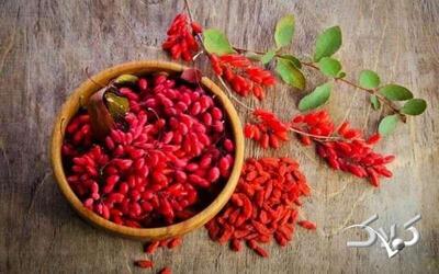  میوه ای کوچک که به تعادل صفرا و سلامت کبد کمک می‌کند؛ چطور مصرف کنیم؟ - مجله اینترنتی کولاک