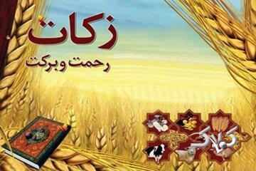  زکات راهی برای نجات جامعه از فقر و تبعیض - مجله اینترنتی کولاک
