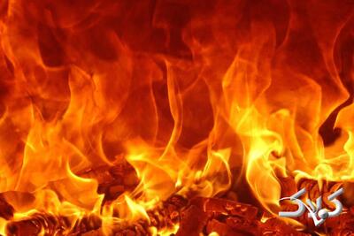  وضعیت آتش‌سوزی جنگل‌های الیت را از آسمان ببینید +ویدیو - مجله اینترنتی کولاک