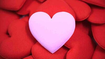  میگنا - عشق چگونه  به‌وجود می‌آید؟