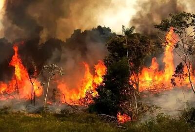  آتشسوزی جنگل الیت چالوس از دیدگاه ناسا + تصاویر