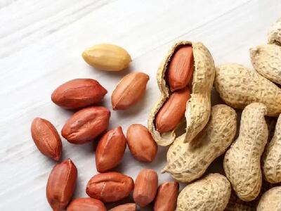  با خوردن این مغز، جوان بمانید