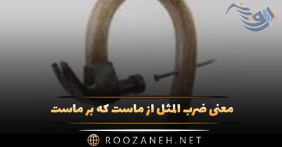  معنی ضرب المثل از ماست که بر ماست + شعر و داستان آن