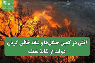  آتش در کمین جنگل‌ها و شانه خالی کردن دولت از نقاط ضعف