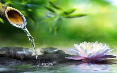  هماهنگی زندگی با آهنگ طبیعت