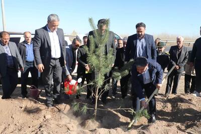  یک میلیون اصله نهال در اردبیل کاشته شده است