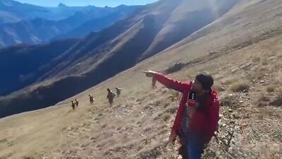  گزارش خبرنگار SNNTV از ارتفاعات جنگل‌های الیت/ در نتیجه تلاش‌های آتش‌نشانان دامنه آتش محدود‌تر شده است