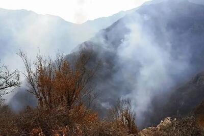  حریق در الیت مهار شد/لکه گیری در منطقه همچنان ادامه دارد+فیلم