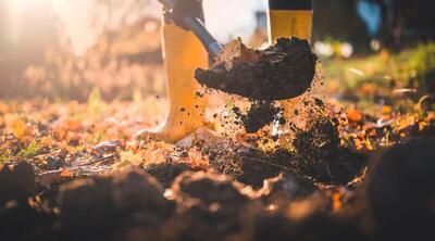  در فصل پاییز چگونه خاک را برای سرما و باردهی سال بعد آماده کنیم؟