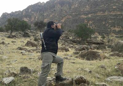  سرشماری پاییزه حیات‌ وحش پناهگاه خارو در اردستان - تسنیم