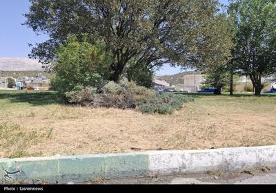  گزارشی از وضعیت نگران‌کننده فضای سبز در یاسوج؛ از خشکی تا رشد کنترل‌نشده تصاویر - تسنیم