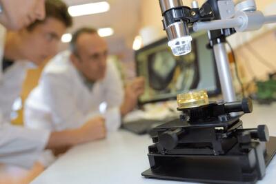  ساخت اولین بافت‌های مغز مصنوعی در آزمایشگاه