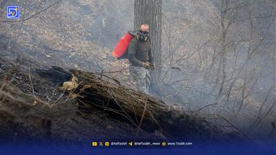  جدیدترین تصاویر از آتش سوزی جنگل های الیت