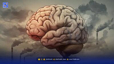  تاثیر آلودگی هوا بر مغز چیست؟