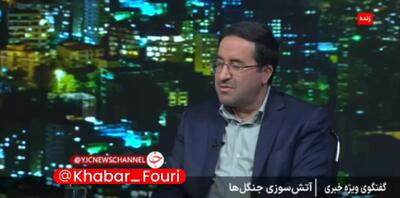  واکنش عجیب به یک سوال درباره خسارت آتش‌سوزی جنگل الیت! + فیلم