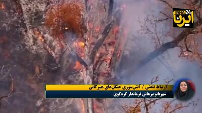  زنجیره آتش در هیرکانی ادامه دارد + فیلم