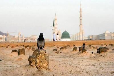  چرا محل دفن حضرت زهرا (س) مشخص نیست؟ | اقتصاد24