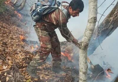  آتش جنگل‌های هیرکانی به کلاردشت هم شعله‌ور شد | اقتصاد24