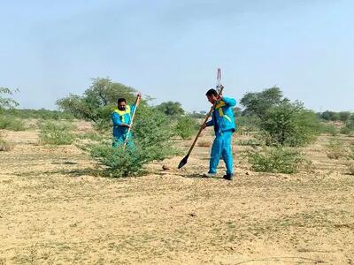  کارگران «کمربند سبز اهواز» بیکار می‌شوند؟
