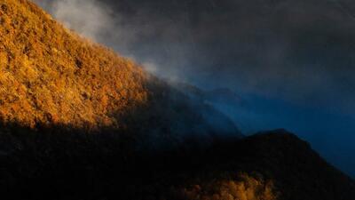  گرارش تصویری/ مهار آتش‌سوزی جنگل الیت