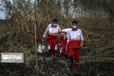  رئیس سازمان مدیریت بحران کشور: پایش عرصه‌های جنگلی چالوس همچنان ادامه دارد